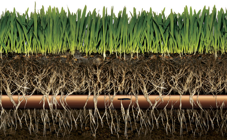 Beneath the Surface: Unveiling the Wonders of Lawn Subsurface Drip Irrigation (SDI)