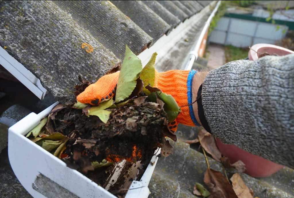 Clearing the Air: Gutter Cleaning Responsibility in Melbourne – Tenant or Landlord?