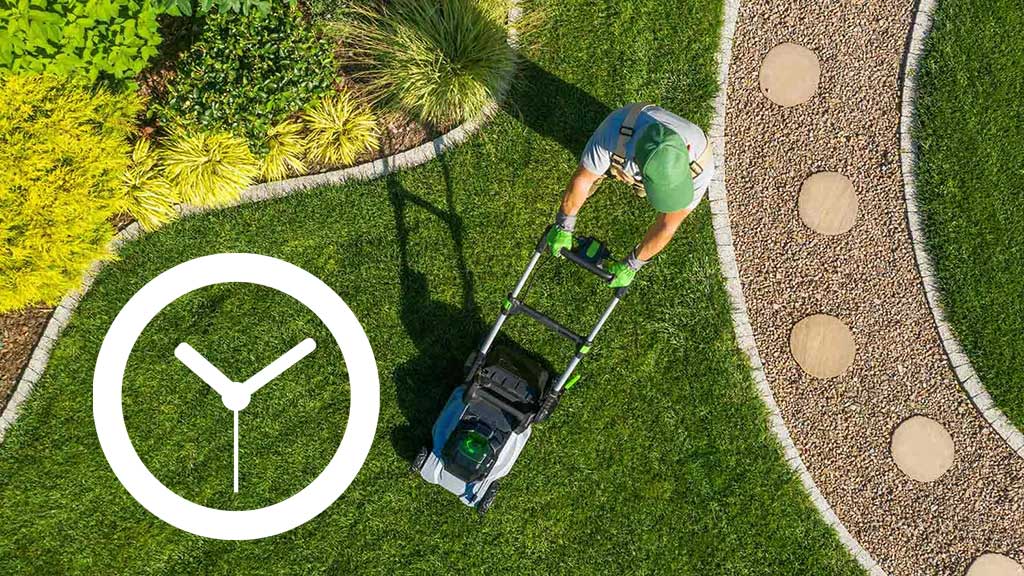 When's the Best Time of Day to Mow Your Lawn?