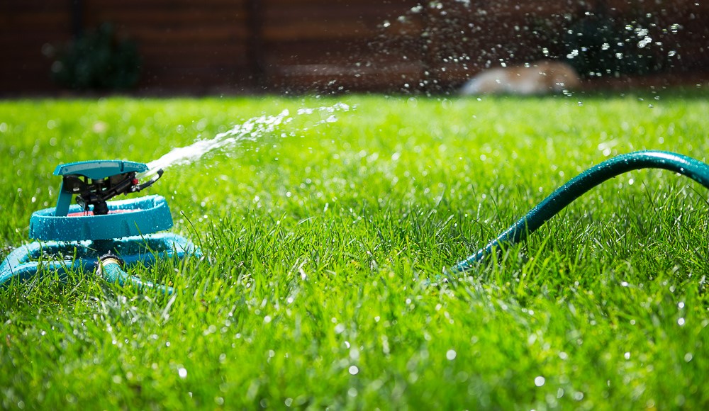 Finding the Perfect Time: When's the Best Time of Day to Mow Your Lawn?