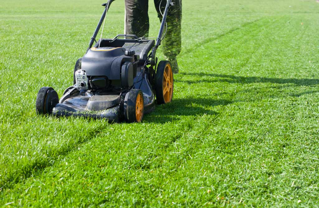 Mulching or Bagging Grass Clippings? What's Best for Your Lawn?