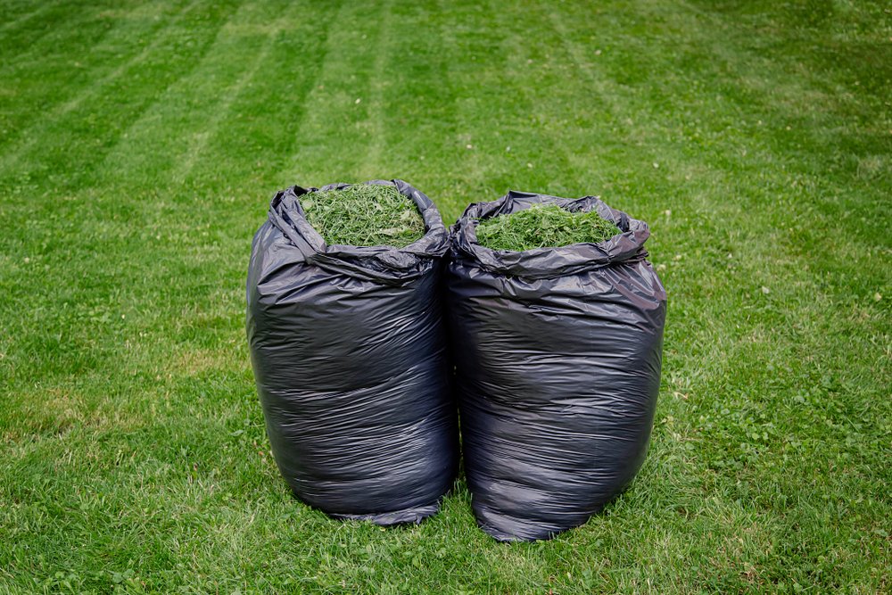 Mulching or Bagging Grass Clippings? What's Best for Your Lawn?