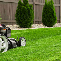 Lawn Mowing & Landscaping